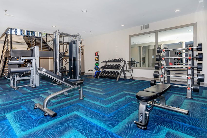 A modern gym interior featuring various workout equipment, including a weight bench, dumbbell racks, and a multi-station machine. The floor has a blue patterned carpet, and there is a large mirror on one wall.
