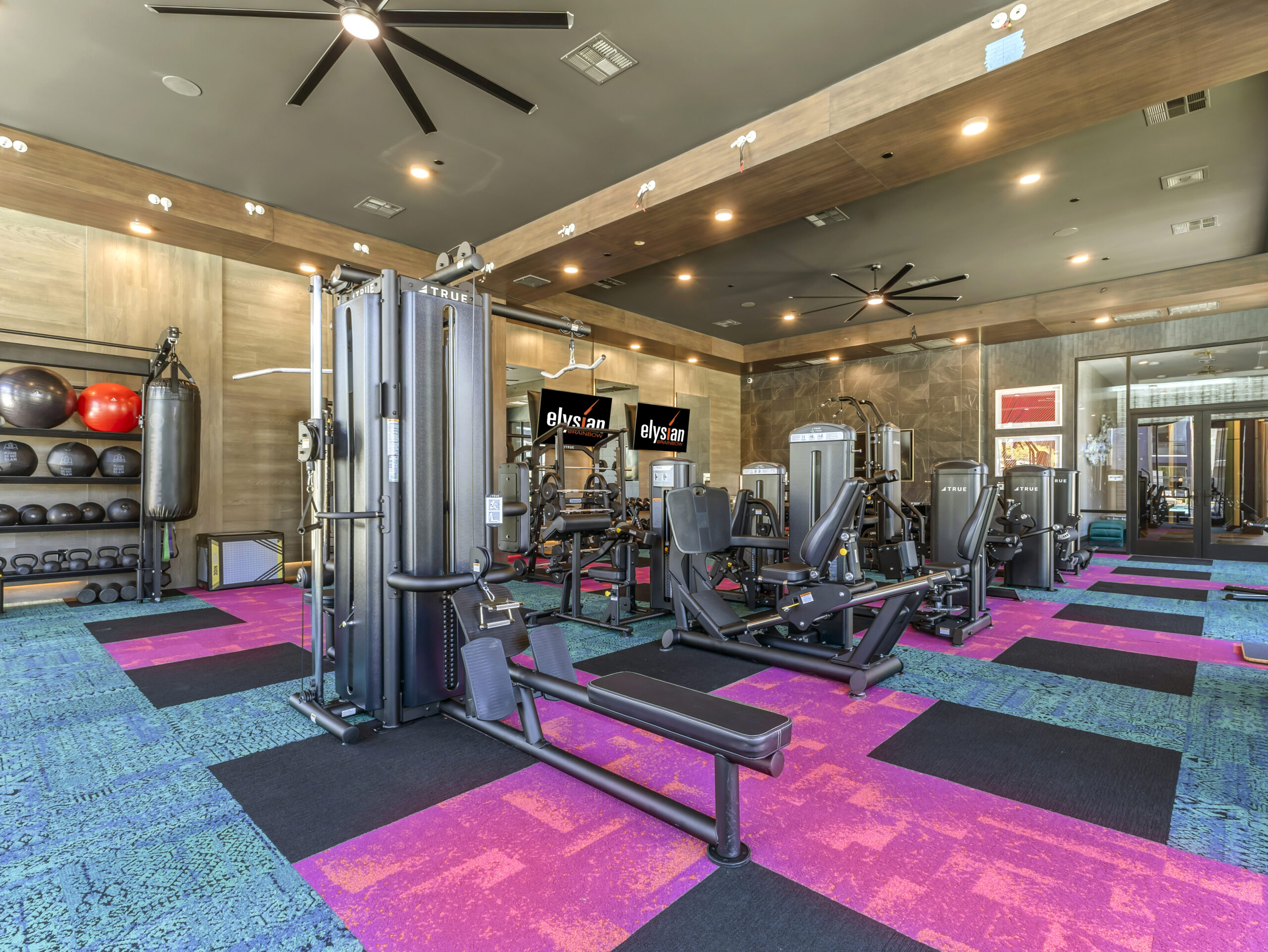rainbow gym