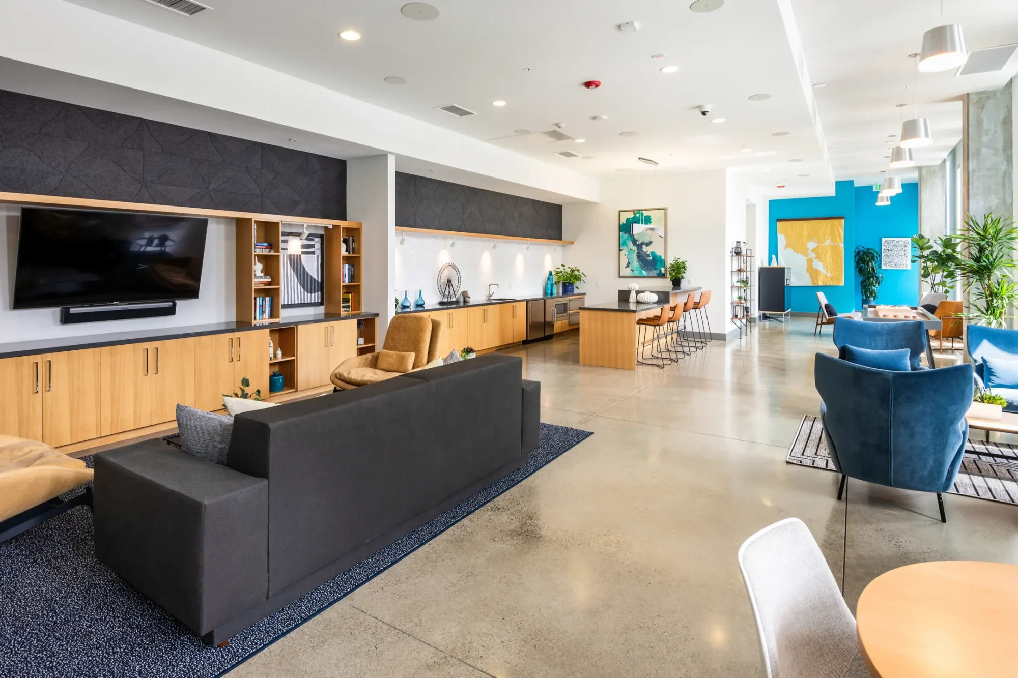Clubhouse lounge with sofas, TV, and kitchen