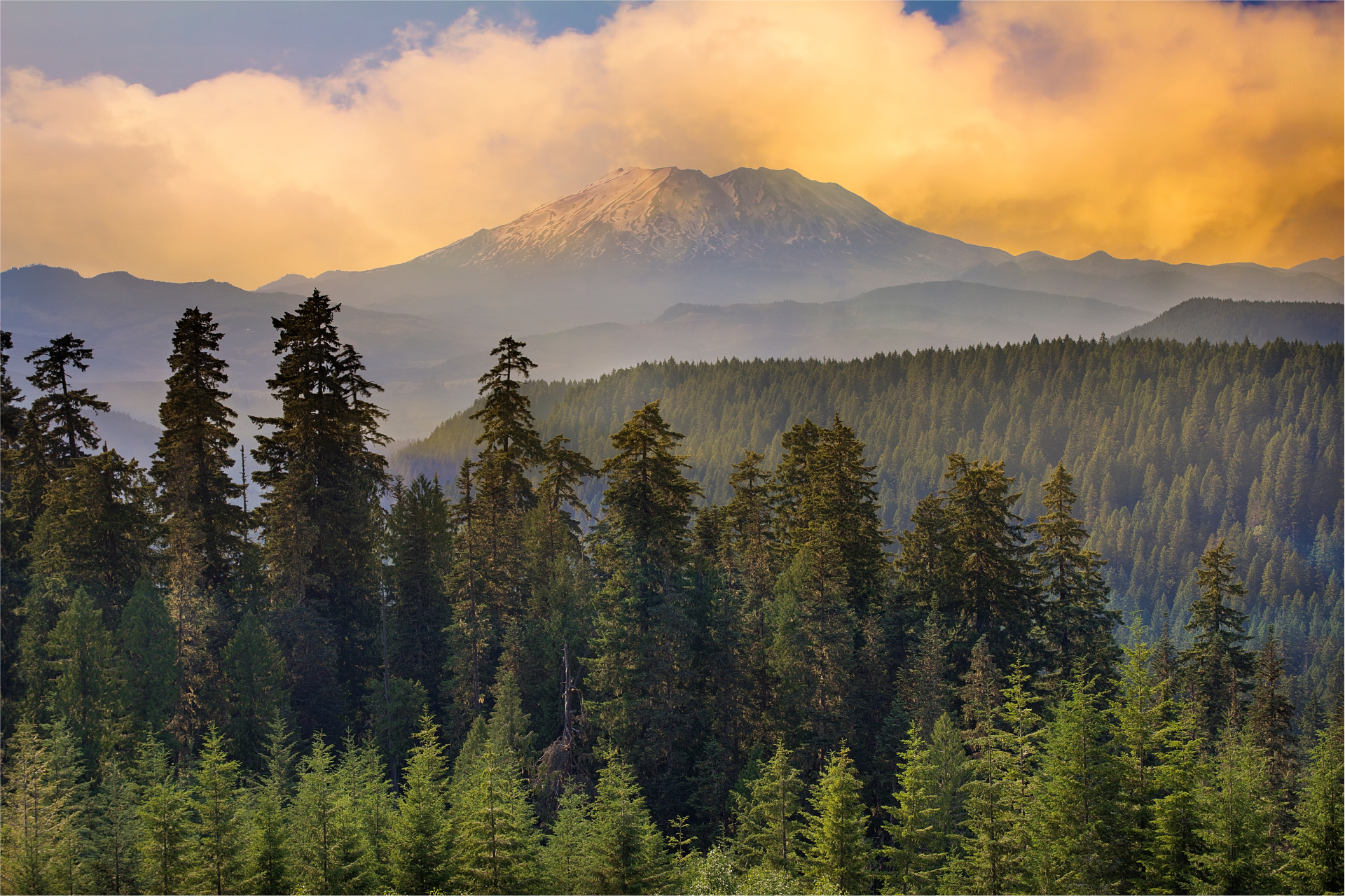 AdobeStock_53848519-battle-ground-washington-mt-st-helens-mountain-forest-sunset