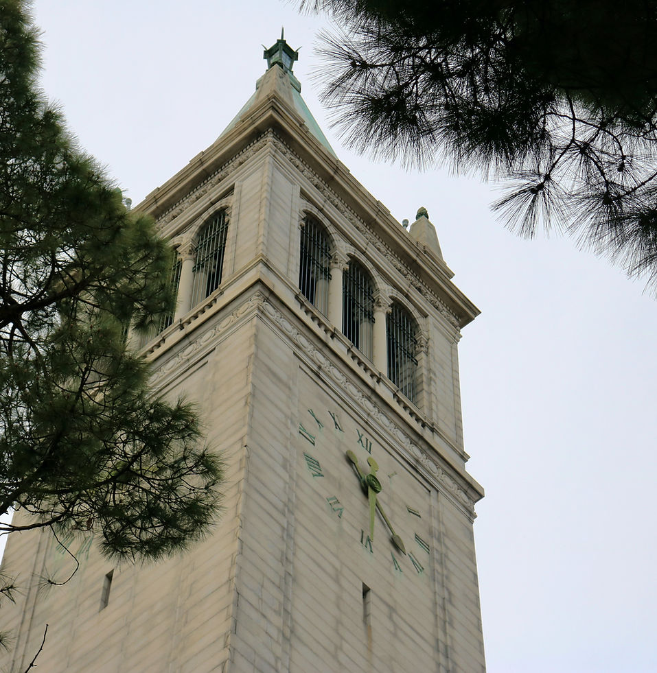 The Lair at Berkeley photo