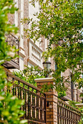 A tree in front of a building with a fence.