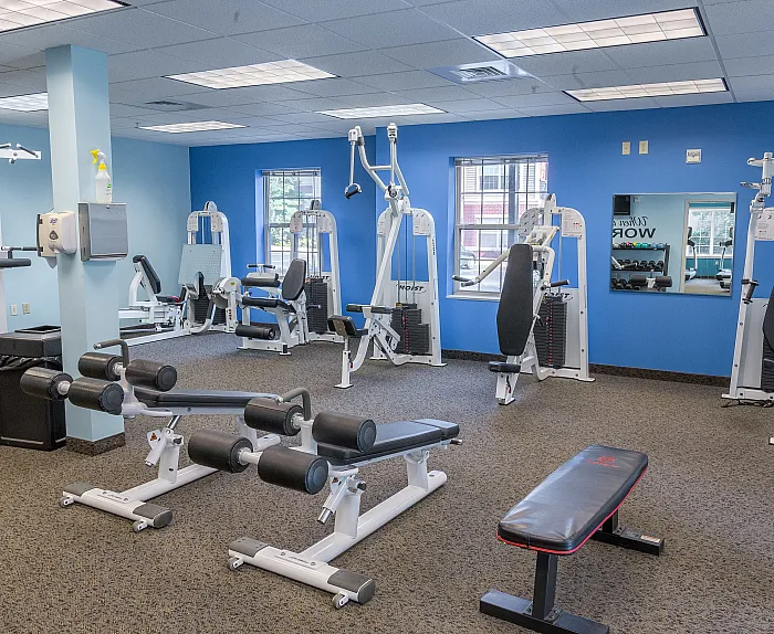 Bright and inviting fitness center with modern exercise equipment, blue accent wall, and ample natural light.