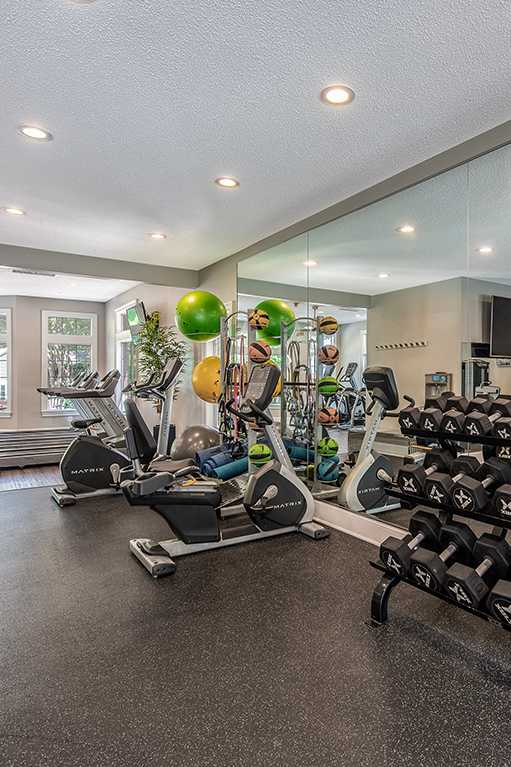 Gym with Weights at The Village Apartments, Raleigh, 27615