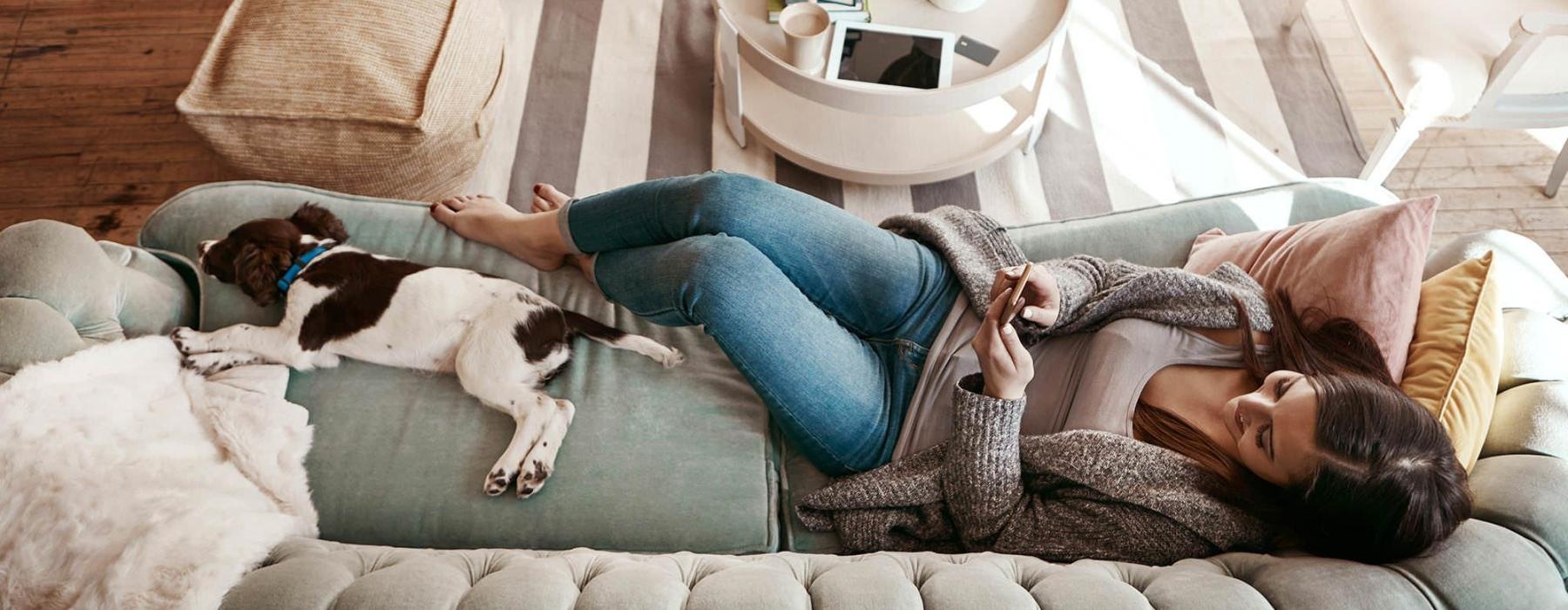 overhead view of a woman texting as she lies on a couch with a dog at her feet