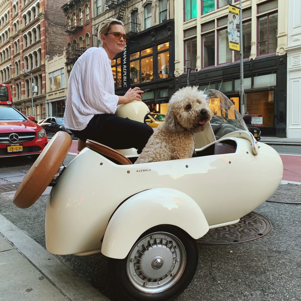 Dog waiting in a sidecar near The Sierra Chelsea in New York, New York