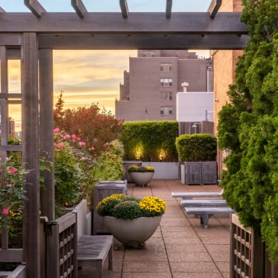 Rooftop terrace lounge at The Sierra Chelsea in New York, New York