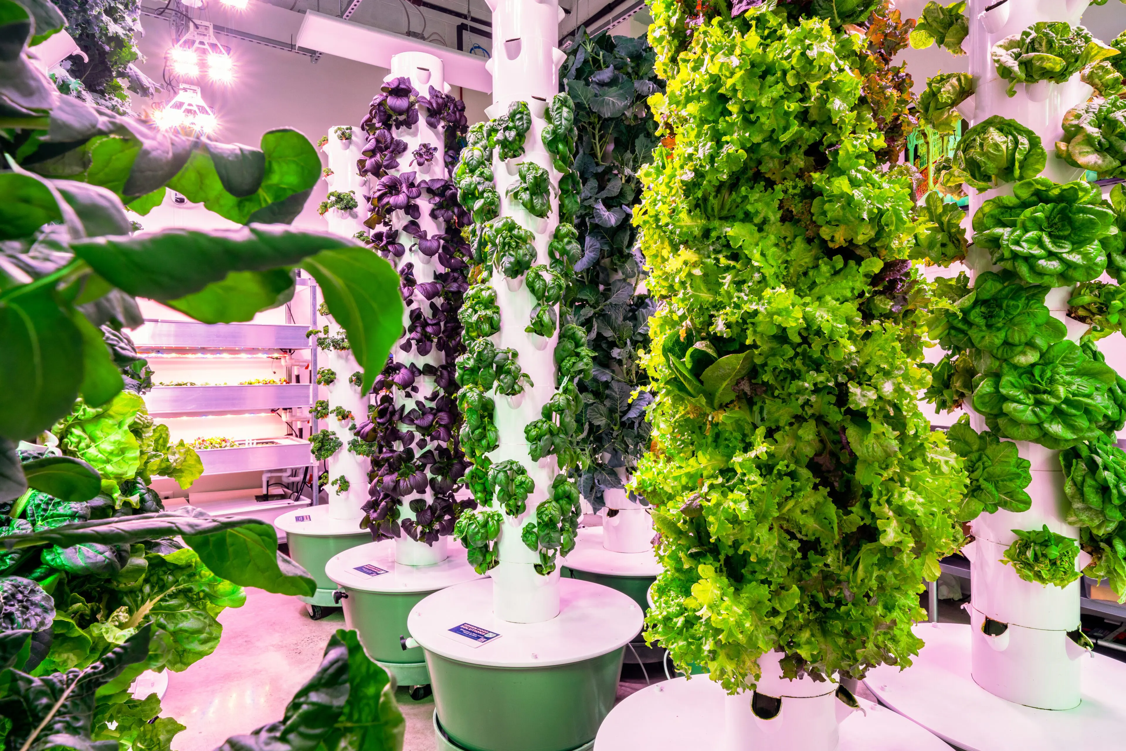 Veris Farm at The BLVD Collection.