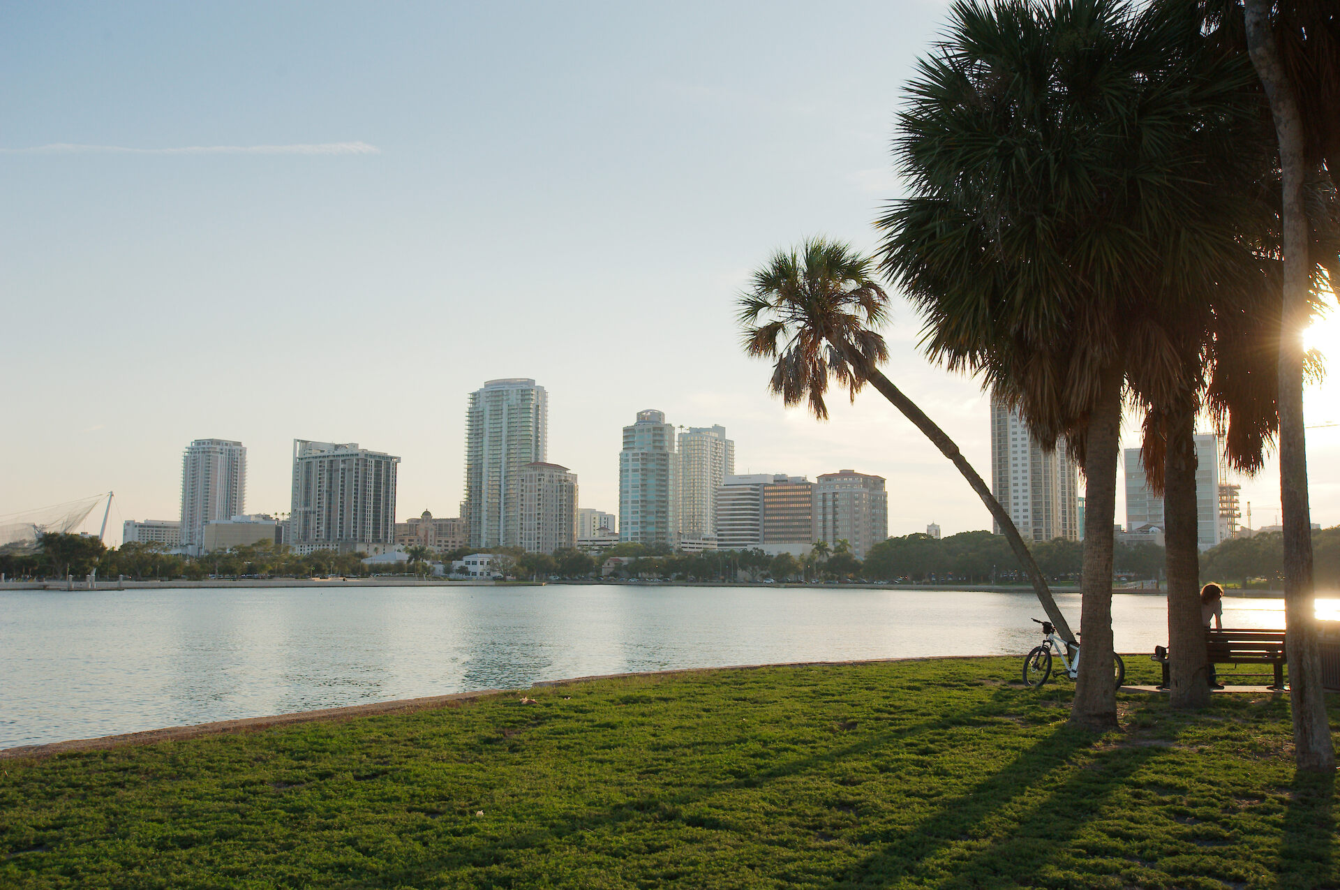 St. Petersburg skyline at sunset viewed from a waterfront park with palm trees