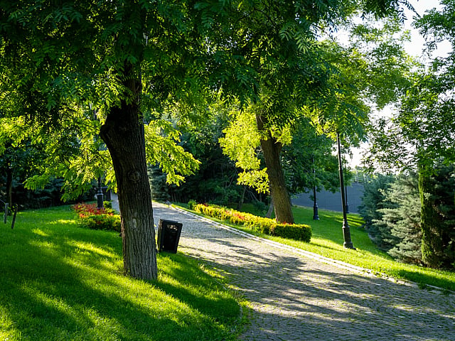 forest park st louis