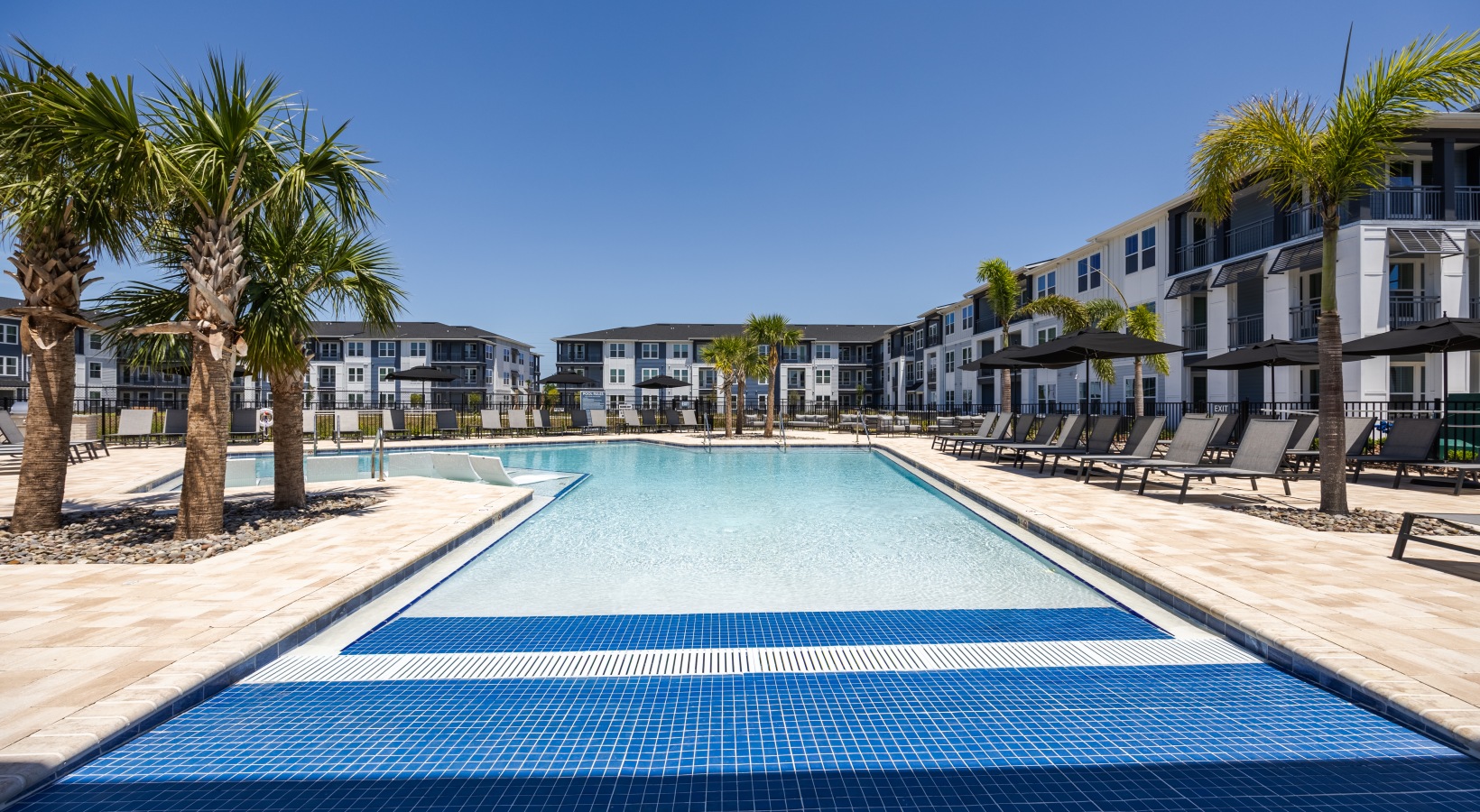 Outdoor resort-style pool at Madison Palms apartments in Ruskin FL with lounge seating and palm trees.