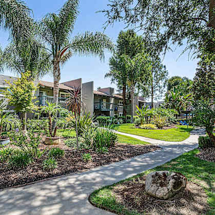 a street view of a community with trees and plants