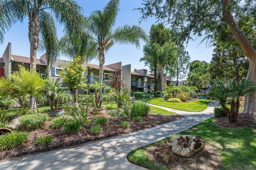 a street view of a community with trees and plants