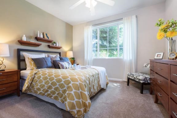 Custom Two Tone Wall Color