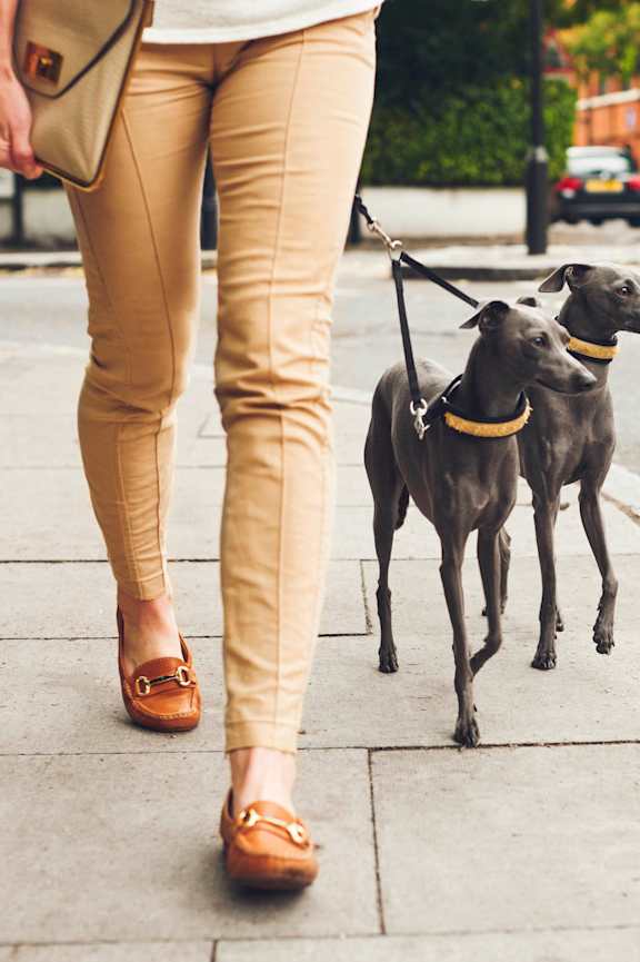 a person walking two dogs on a leash on a sidewalk at The Parker in Portland, Oregon 97209