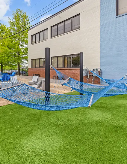 hammock
