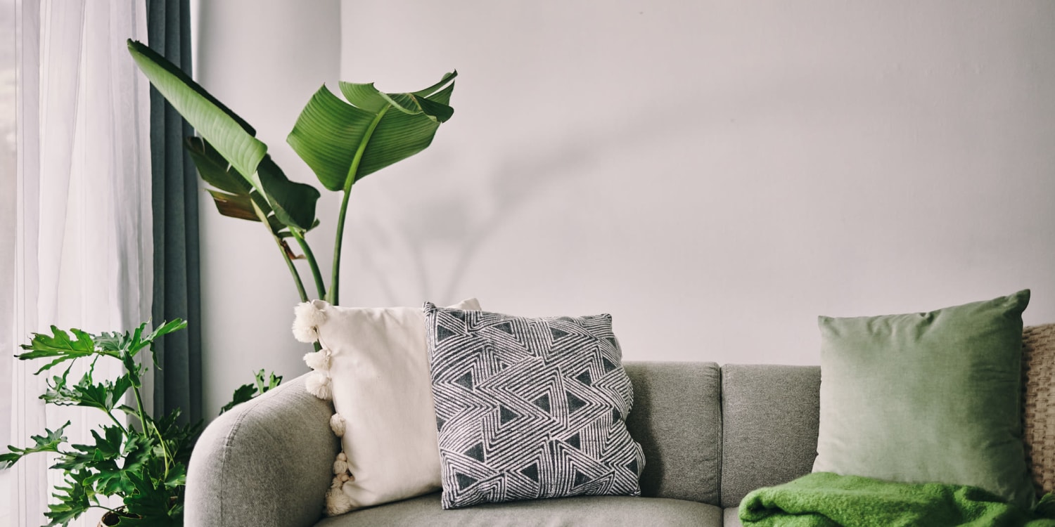 Well-decorated living space with plants and green accents at The Joyce in Durham, North Carolina