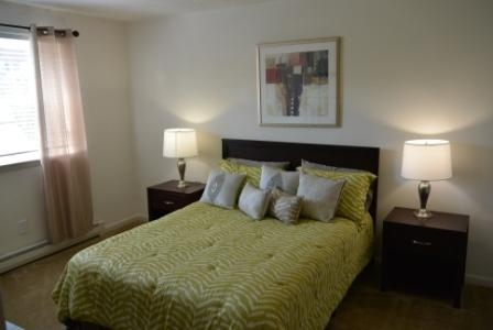 Standard Apartments