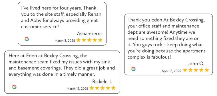 three examples of five star google reviews