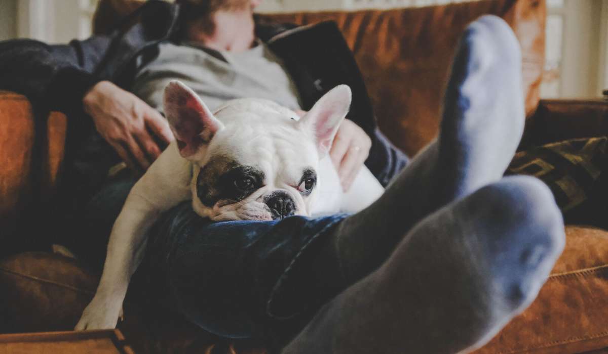 man and dog at Legacy Ridge in Atlanta, Georgia