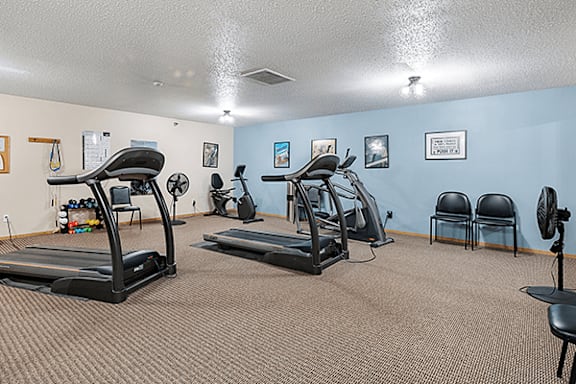 A gym with treadmills and exercise equipment.