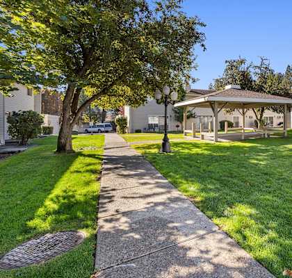 A sunny day at the park with a gazebo and a walking path.