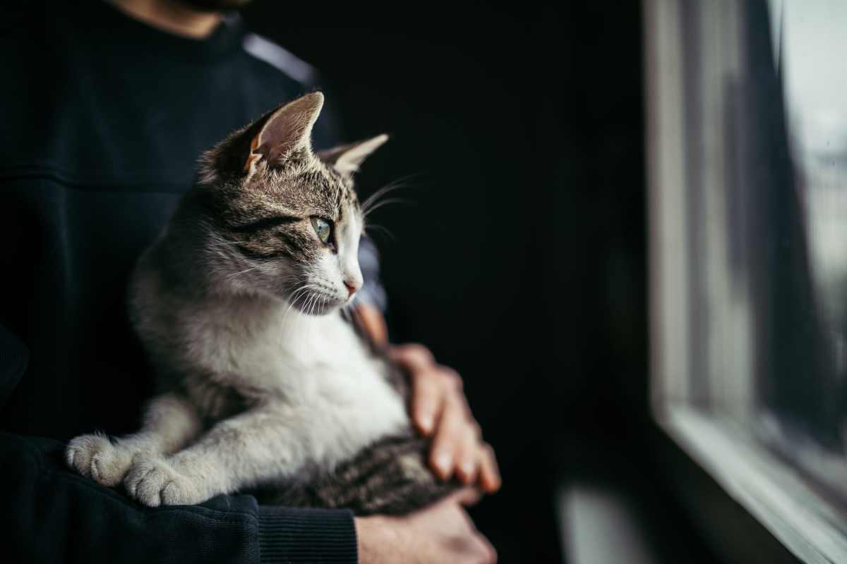 Resident holding their cat in their home at Caroline in Charleston, South Carolina