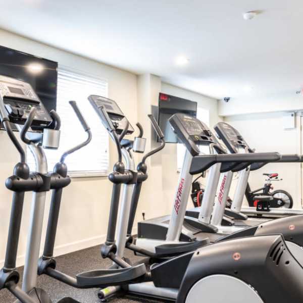 Park Clayton Apartments offers a wide variety of amenities in Saint Louis, Missouri