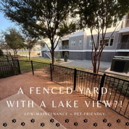 dog park with writing on image