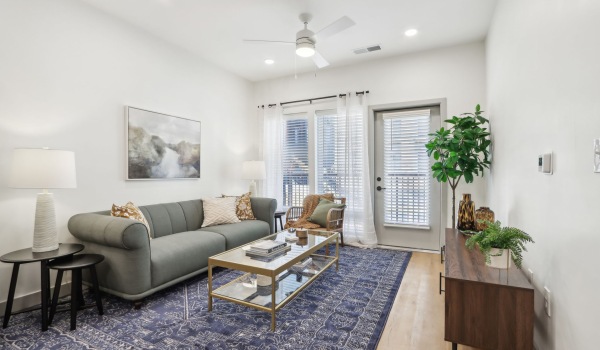 Styled apartment living room