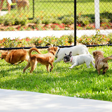 Local Parks near Berryhill