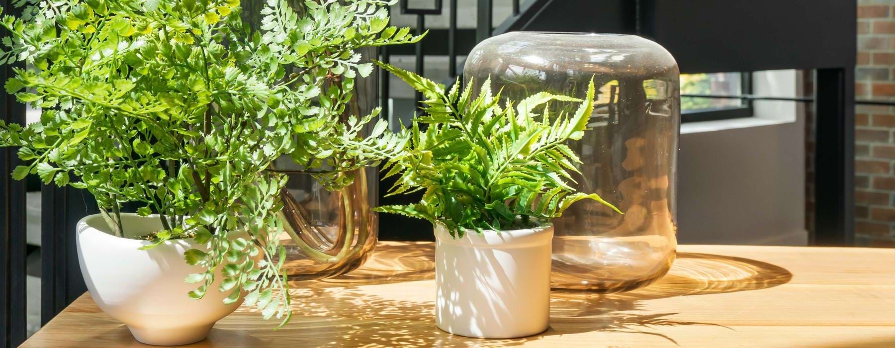 a group of potted plants on a table in front of a staircase