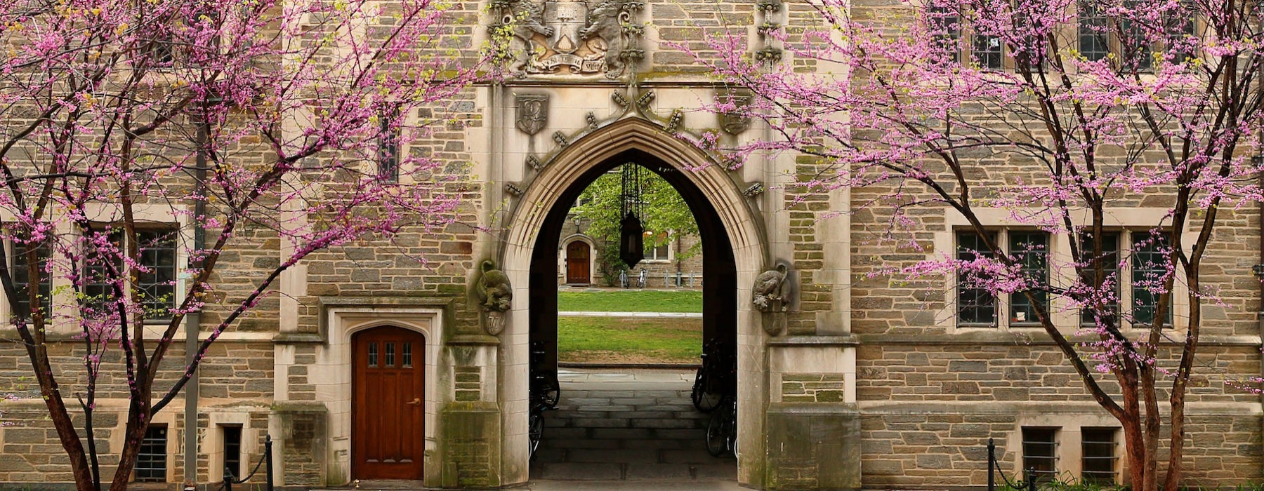 a building with a tunnel and trees around it