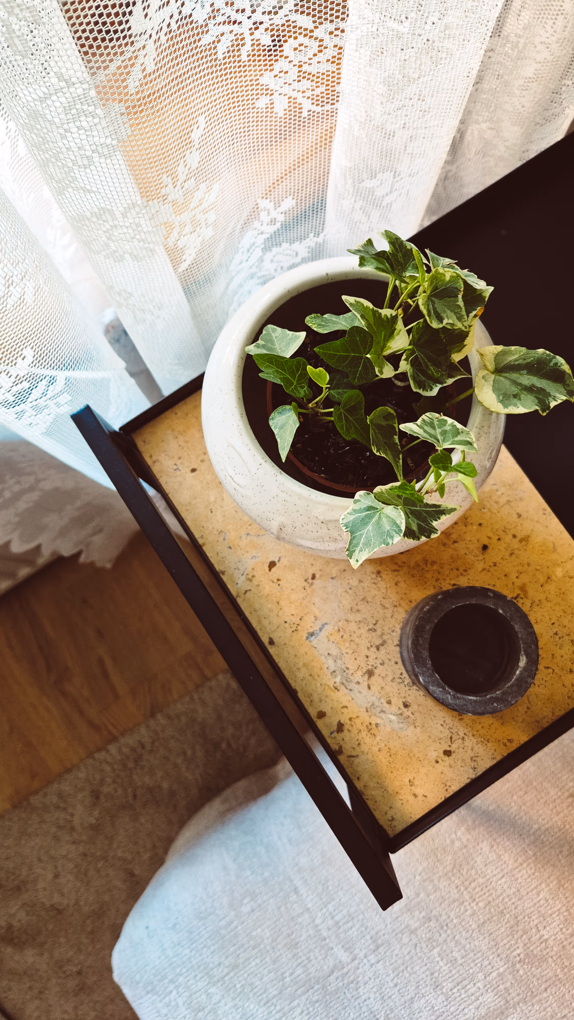 potted plan on side table stock image