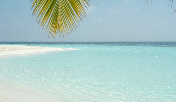 Dive into Savings with One Month Free at Marvera Casselberry!