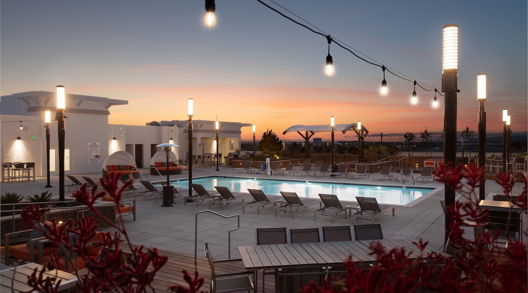 pool with large palm trees and tropical landscaping