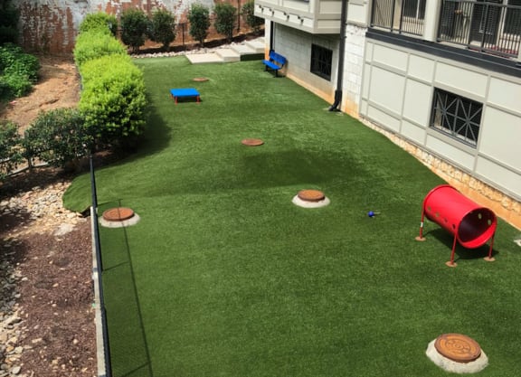 Dog Park with Astroturf at St. Marys Square Apartments, North Carolina