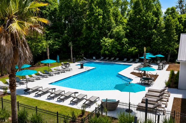 Luxury swimming pool with lounge chairs and umbrellas in a green, treelined courtyard.