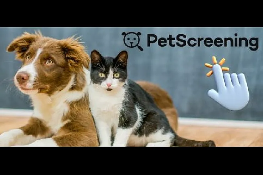 Charming pet-friendly environment with a friendly dog and a curious cat, perfect for your furry companions.