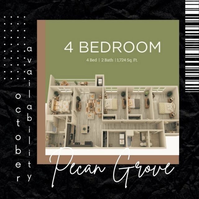 4 bedroom availability you say?!?! YES!! No waitlist and ready to be someone’s next home 🏡  • APPLY TODAY!  • • • #applytoday #apartmentliving #newhome #texasliving #moveinready #78155 #fallvibes #spookyseason