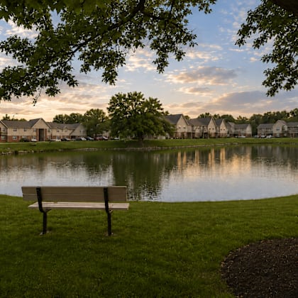 A park bench sits in front of a pond with houses in the background.