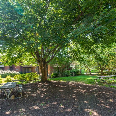 Wheaton House Apartments