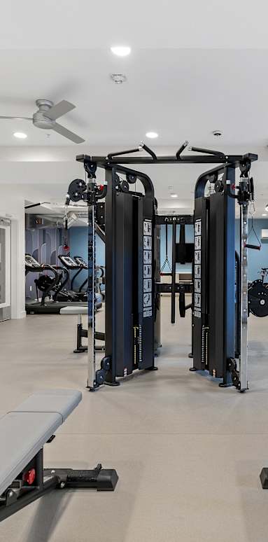 a gym with weights and cardio equipment and a ceiling fan at The Revival, Salt Lake City