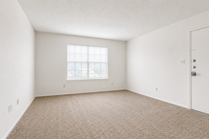 A spacious, empty room with light beige carpet and white walls. A large window with white blinds allows natural light to enter. There is a simple door on the right side, and the overall atmosphere is bright and minimalist, ideal for potential furnishings.