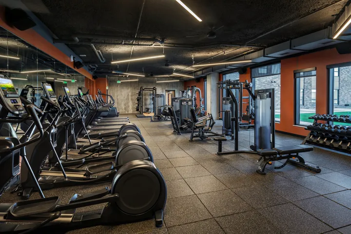 Modern fitness center featuring state-of-the-art gym equipment, sleek design, and large windows for natural light.