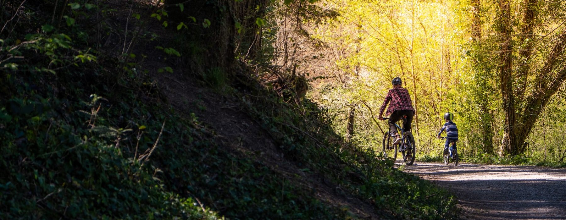 a couple of people riding bikes on a trail in the woods