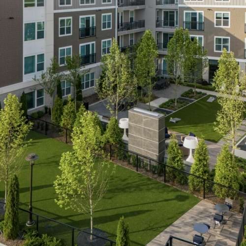a courtyard with trees and a building in the background