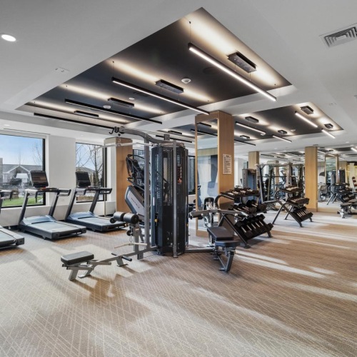 a gym with exercise equipment