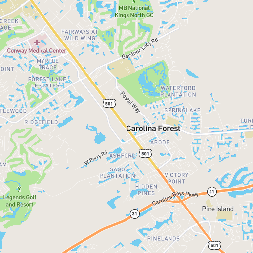 The Palmer at Carolina Forest photo