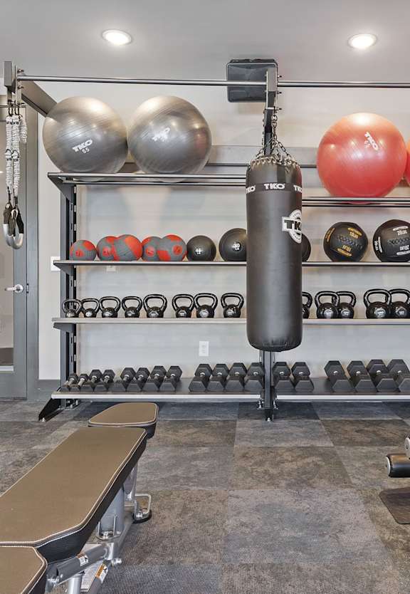 A gym with a bench, weights, and a punching bag.